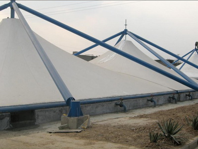 建筑張拉膜公司